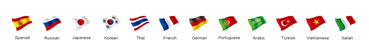 Language selector flags