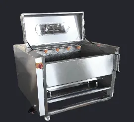 Brush roller washing machine