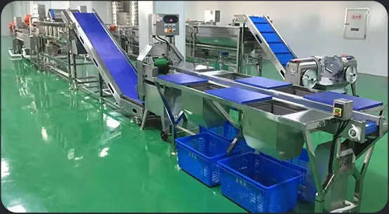Central kitchen vegetable processing line