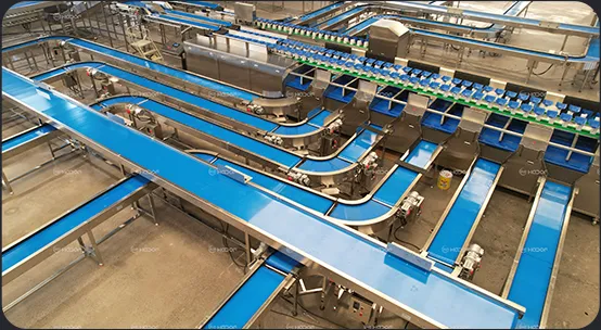 Fruit sorting line