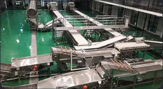 Mushroom processing line