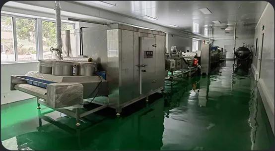 Onion drying line